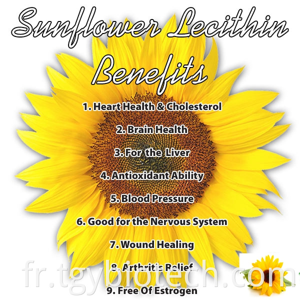 Sunflower Lecithin Powder